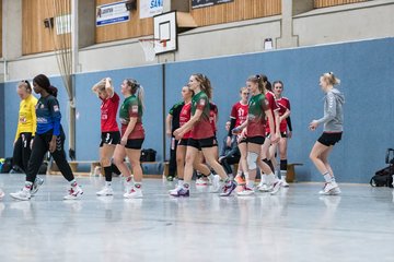 Bild 19 - Frauen HSG Kremperheide/Muensterdorf - HSG Joerl-Vioel : Ergebnis: 34:27